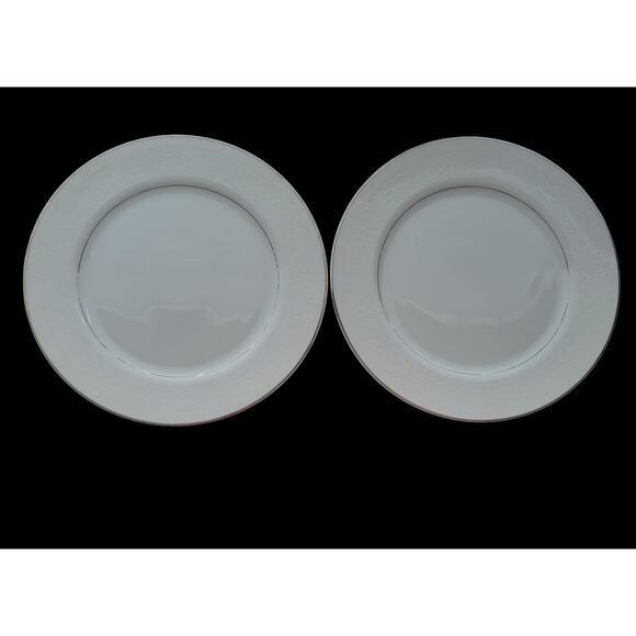 Lace Bouquet Salem China Company Etched Dinner Plate Platinum Trim Set of 2 - Picture 7 of 10